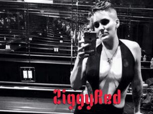 ZiggyRed