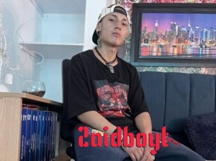 Zaidboyt