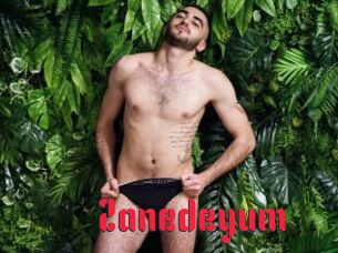 Zanedeyum