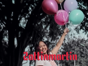 Zattinmartin