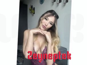 Zeyneptek