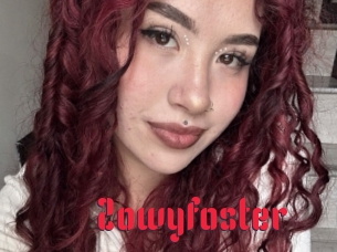 Zowyfoster